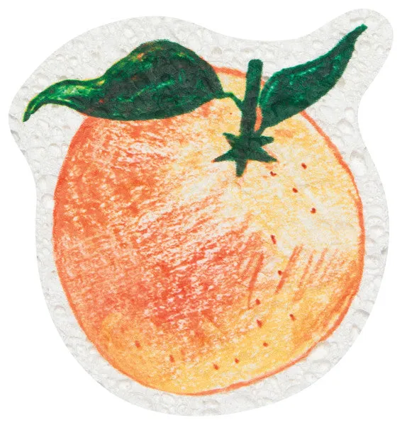 Compostable Sponges (Multiple Styles)