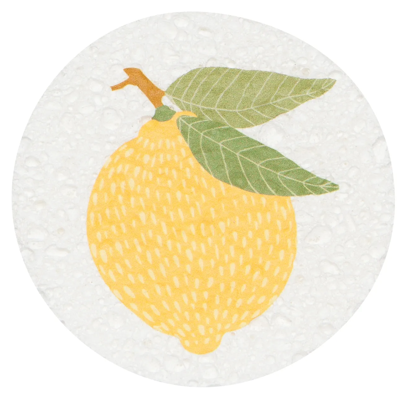 Compostable Sponges (Multiple Styles)