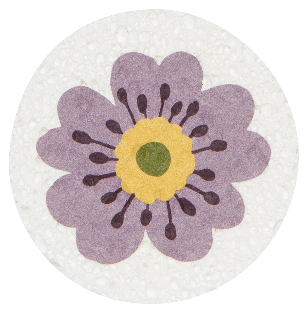 Compostable Sponges (Multiple Styles)